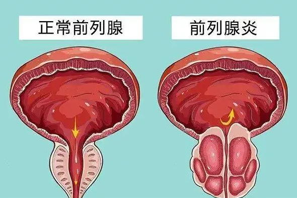 1670554646113156.png 微信截图_20221209105723.png